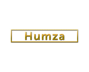Humza Gold Coin
