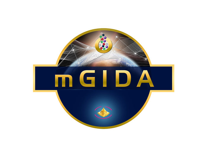 mGIDA Infrastructure Embroidery