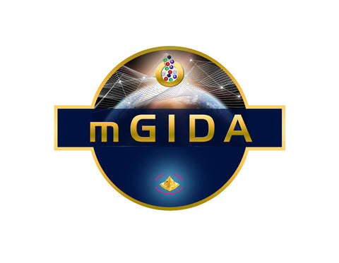 mGIDA Infrastructure Toy