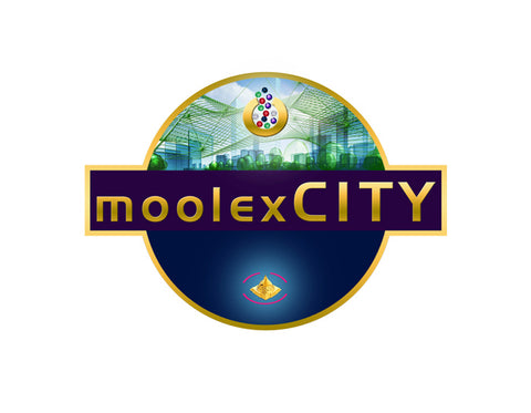 Moolex City Video