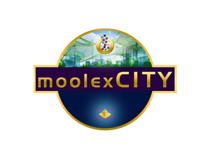 Moolex City T-Shirt