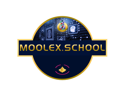 Moolex School T-Shirt