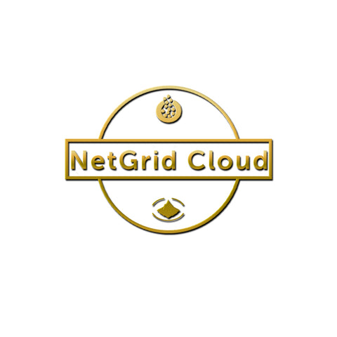 NetGrid Cloud Sculpture