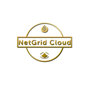 NetGrid Cloud Gold Coin