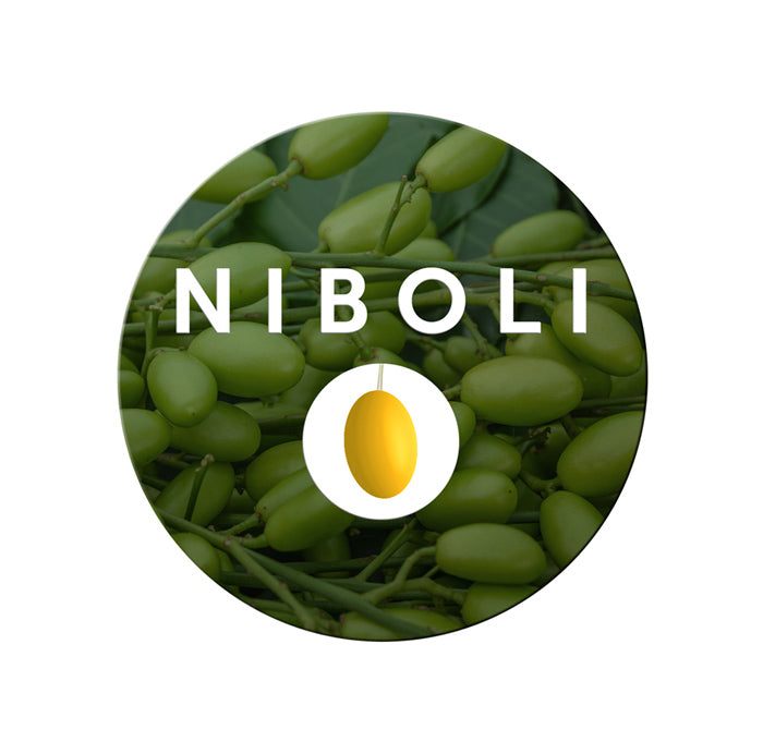Niboli News Stationary