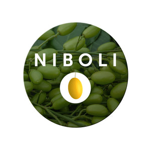 Niboli TV Notebook