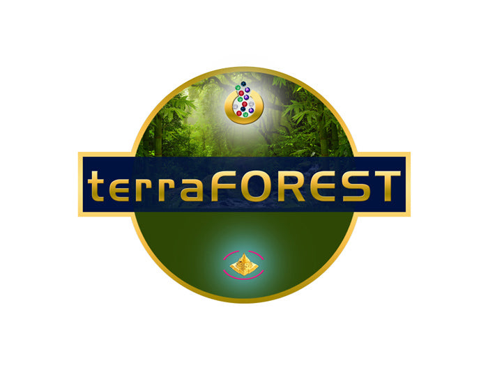 TerraForests Painting