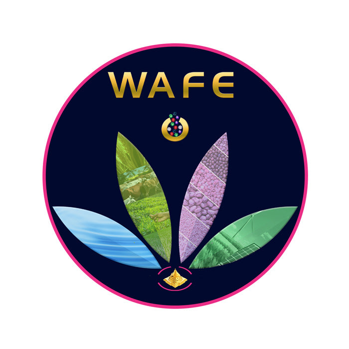 WAFE Gold Coin